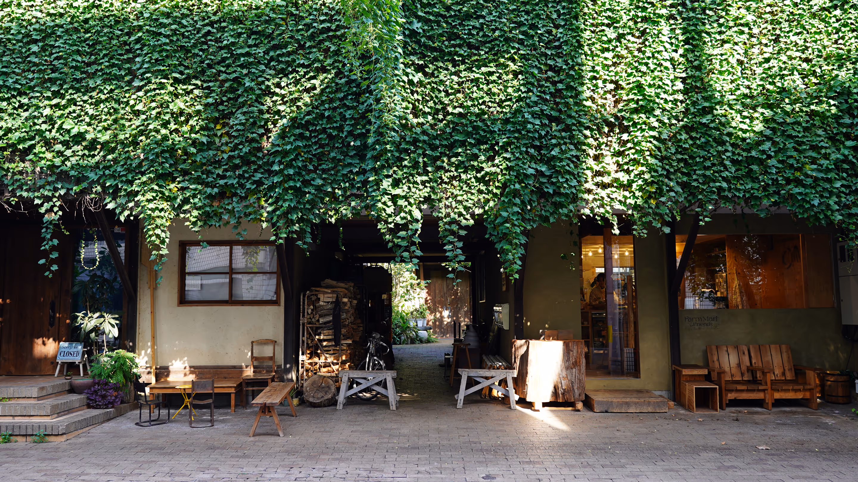 The exterior of the building with ivy growing all around. The picture shows the office in a calm atmosphere with sunlight shining through.
