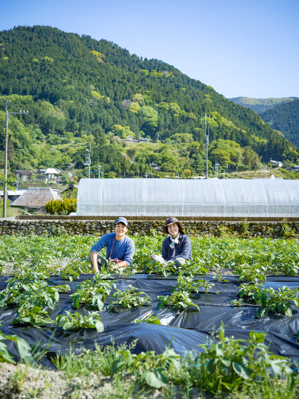 Farmers work in plastic greenhouses and fields against a backdrop of lush green mountains.